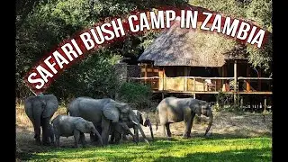 BILIMUNGWE BUSH CAMP | Full Walk Through & Review (The Bushcamp Company, Mfuwe, Zambia)