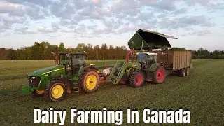 Dairy Farming In Canada ~ Harvesting alfalfa