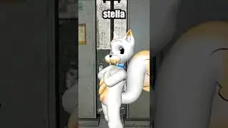 1 2 3 STELLA!