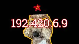 Doggo found your IP (4K TOTALLY REAL)