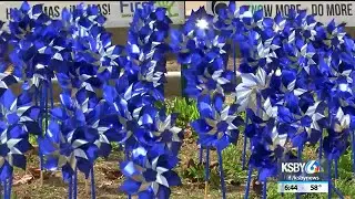 Pinwheels in front of Lompoc courthouse represents child abuse victims
