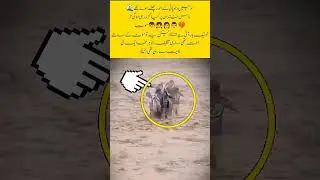#swat #flood #family #swatflood2025