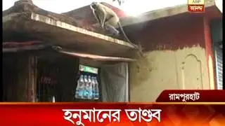 Monkey creats ruckus in Rampurhat station