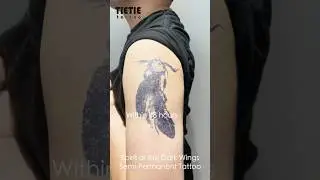 Spirit of the Dark Wings #tattoo #tattoofun #tattooideas #tattoodesigns #fantasytattoo