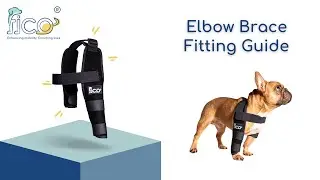 How to Fit the Fico Elbow Brace on Your Dog | Step-by-Step Tutorial