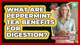 What Are Peppermint Tea Benefits For Digestion?