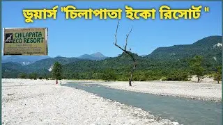 Chilapata Eco Resort  | চিলাপাতা ইকো রিসোর্ট | DOOARS 2023