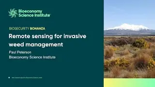 Remote sensing for invasive weed management