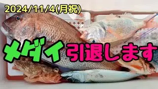 【タイラバ】マジでメダイ釣れない・・・
