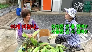 며느리가 사돈 갖다 줄 것만 좋은 걸로 챙긴다면?