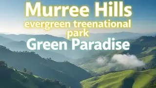 &ldquo;Murree Hills Scenic Tour | Green Hills & Nature Views 🌲🏞️&rdquo;🌲 Stunning Murree Hills Views!Lush