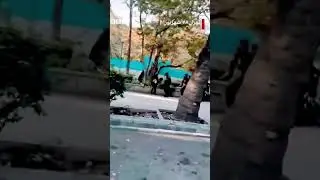 Women was forcefully beaten up by Iranian police&hellip;😔 #iranprotest