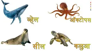 🐠 Sea Animals Name Learning for Kids | Learn with Pictures #kidslearninghindi #kidlearningvideos