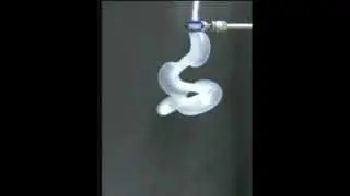 Soft Robotic Tentacle with 4 Bending Modes