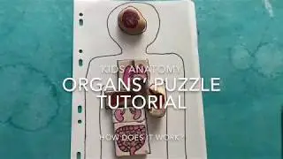 How does it work Kids Anatomy- Body Organs&rsquo;Puzzle Tutorial