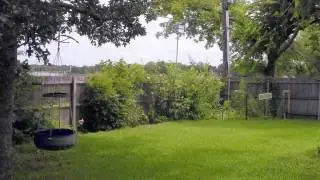 5519 Misty Crest Arlington, TX 76017