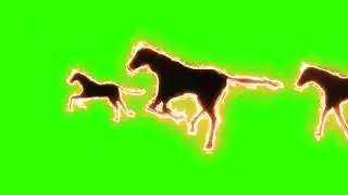 Fire Horses #1 / Green Screen - Chroma Key