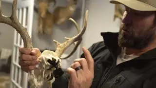 Skull System from Full Range Hanging Systems