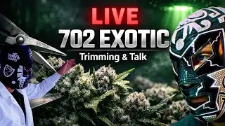 LIVE TRIM SESSION 👽✂️ | Alien Genetics, Deep Space Talk