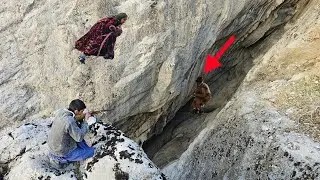 Wild hunting deep in the valley