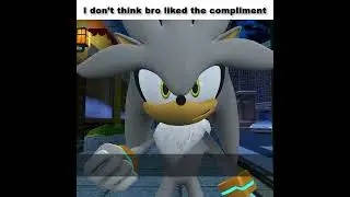 Shadow The Bautifulhog #sonic #memes