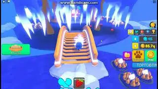 Pet Swarm Simulator!