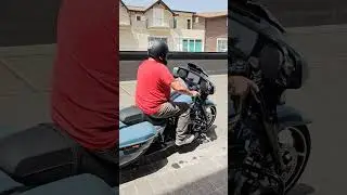 delfino david parlato harleydavudson strreet glide