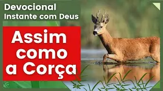 Devocional: Assim Como a Cor&ccedil;a