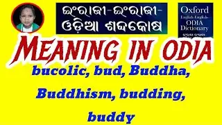 bucolic, bud, Buddha, Buddhism, budding, buddy Meaning In Odia / Class 12th English Grammar In Odia