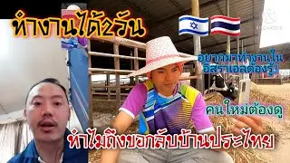 มาทำงานในประเทศอิสราเอลได้2วันทำไมถึงอยากกลับบ้านประเทศไทย..? #อยากมาทำงานอิสราเอลต้องดู