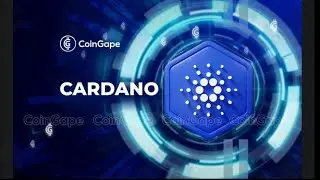 Cardano (ADA) Is Centralized, Cyber Capital Founder Says #ada #cardano #crypto #cryptonews 🚀🚀🚀🚀🚀