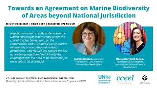 Towards an Agreement on Marine Biodiversity of Areas beyond National Jurisdiction | Joanna Mossop