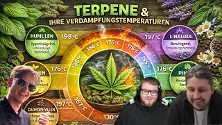 Warum Tabak dein Cannabis ruiniert &ndash; Vaporizer, Kr&auml;uter & die Wahrheit &uuml;ber Abh&auml;ngigkeit