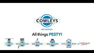 Cowleys Culture