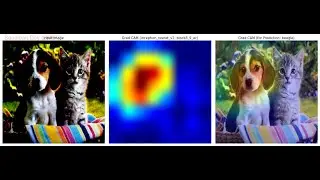 Gradient based localization |  Grad-CAM | Inception-ResNet |  XceptionNet