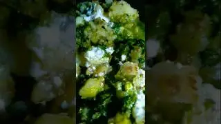#shorts || #deshi style chaat || #viral #youtubeshorts #village  @Sparsh sharma vlogs.