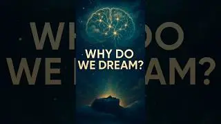 Why Do We Dream? Neuroscientists Reveal the Hidden Meaning
