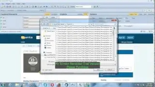 Visual Web Ripper Scrapping from manta