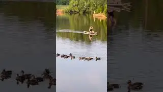 Lake lovers