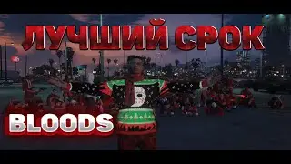 ЛУЧШИЙ СРОК BLOODS НА SUNRISE | GTA5RP