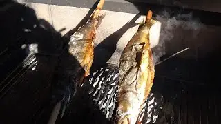 Saibling als Steckerlfisch