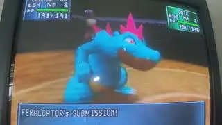 Feraligatr uses Submission (NYPC move) 
