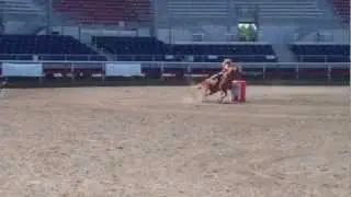 Ginger pony
