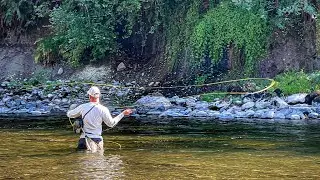 This bright red Coho INHALED my fly
