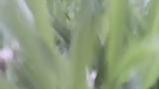Eu  comprei o drone e pilotem o drone  