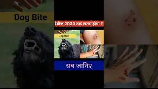 supreme court order on stray dogs। stray dogs delhi #supremecourt stray dogs #news