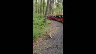 Turtle back zoo train ride