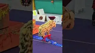Leon de Libertad Santiago - Lion Dancing at Tiamchi 2025