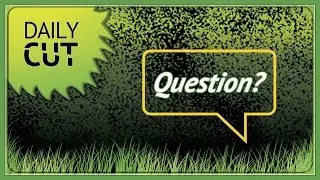 Ask a Lawn Care or Landscape Business Question in the Comments