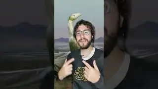 um herb&iacute;voro que ca&ccedil;ava #biologia #bio #ciencia #divulga&ccedil;&atilde;ocient&iacute;fica #dino #dinossauro